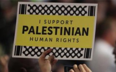 Who Protects the People from the Human Rights Protectors?